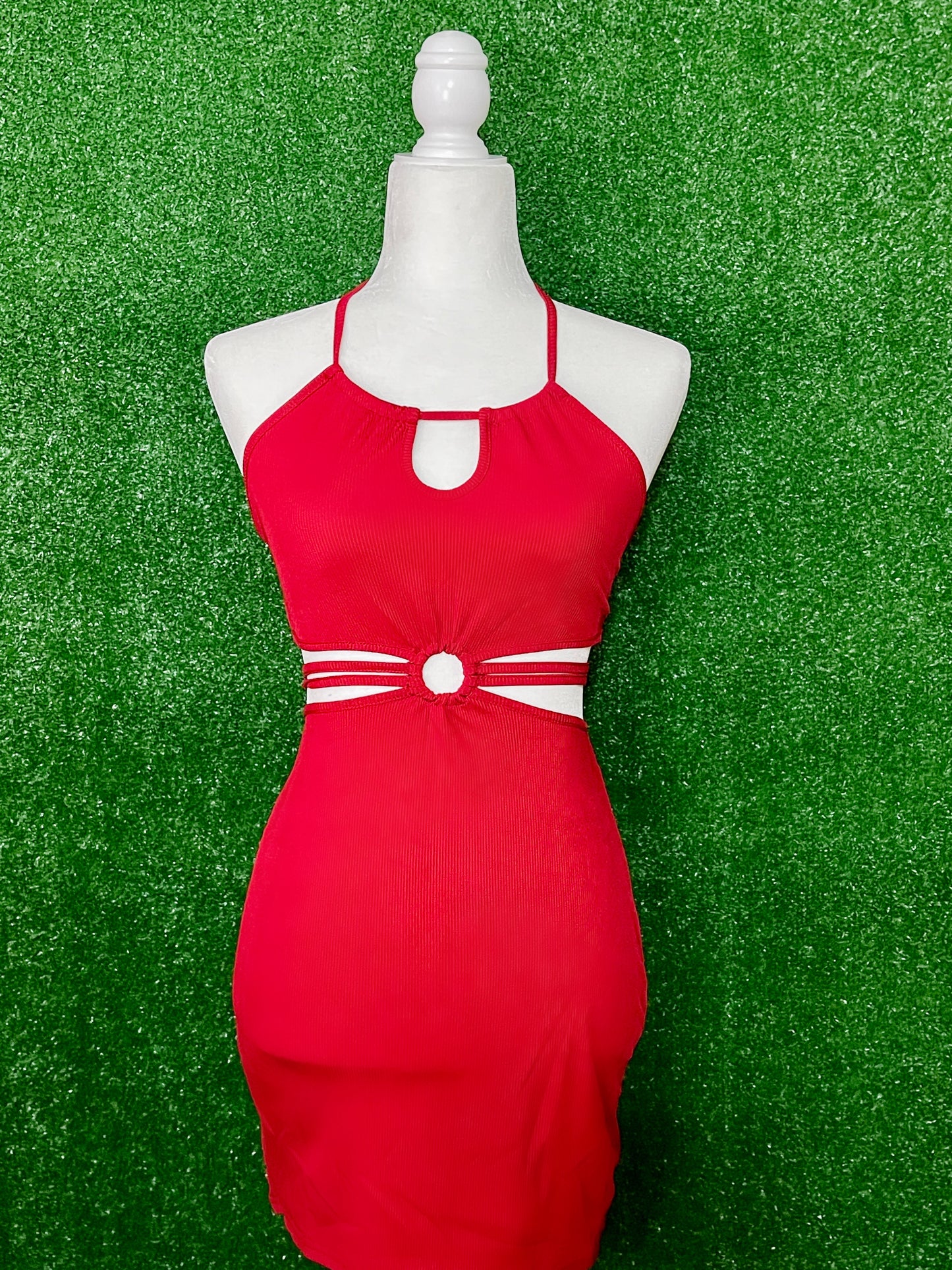 Valeria Bodycon Dress