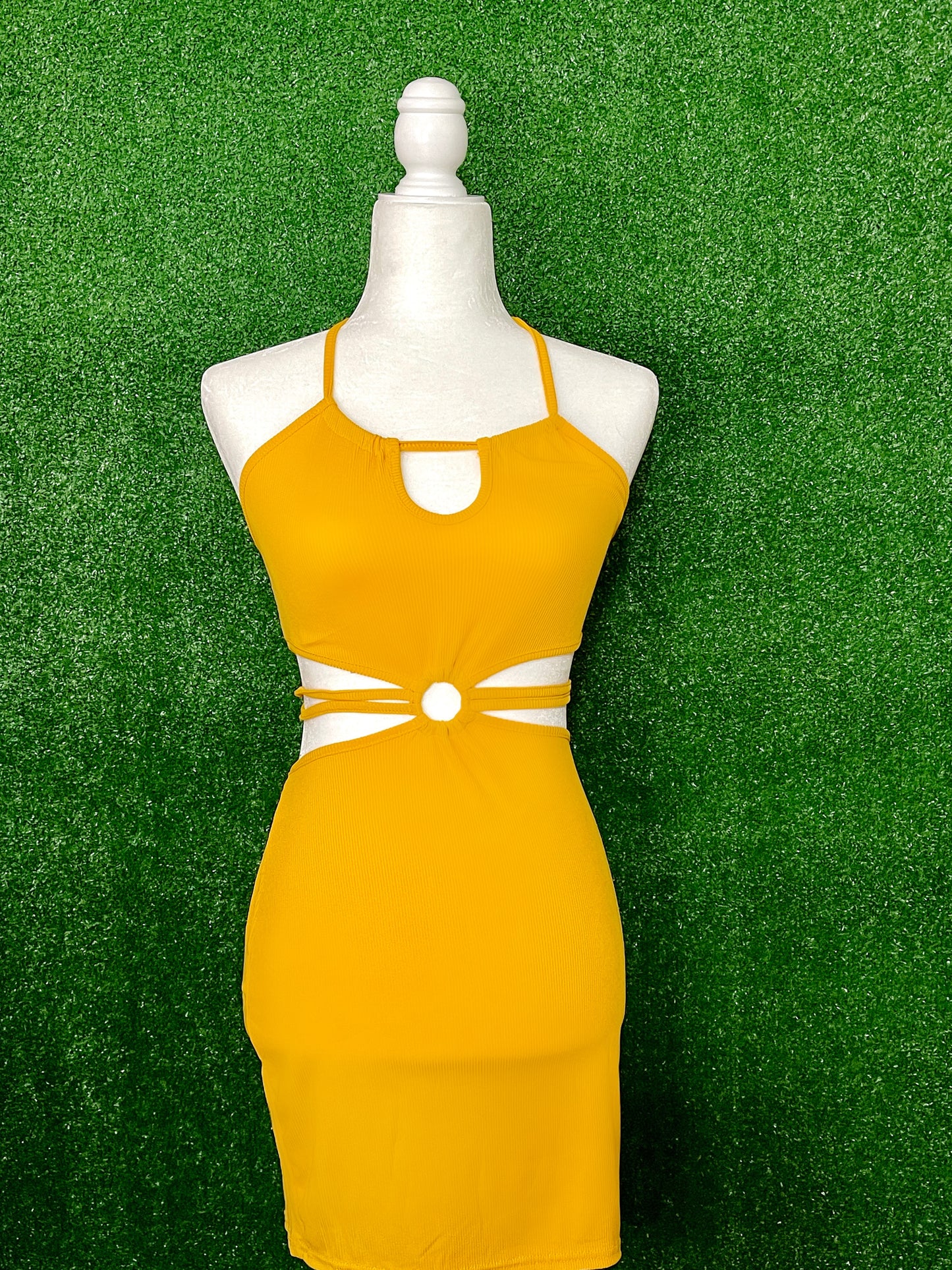 Valeria Bodycon Dress