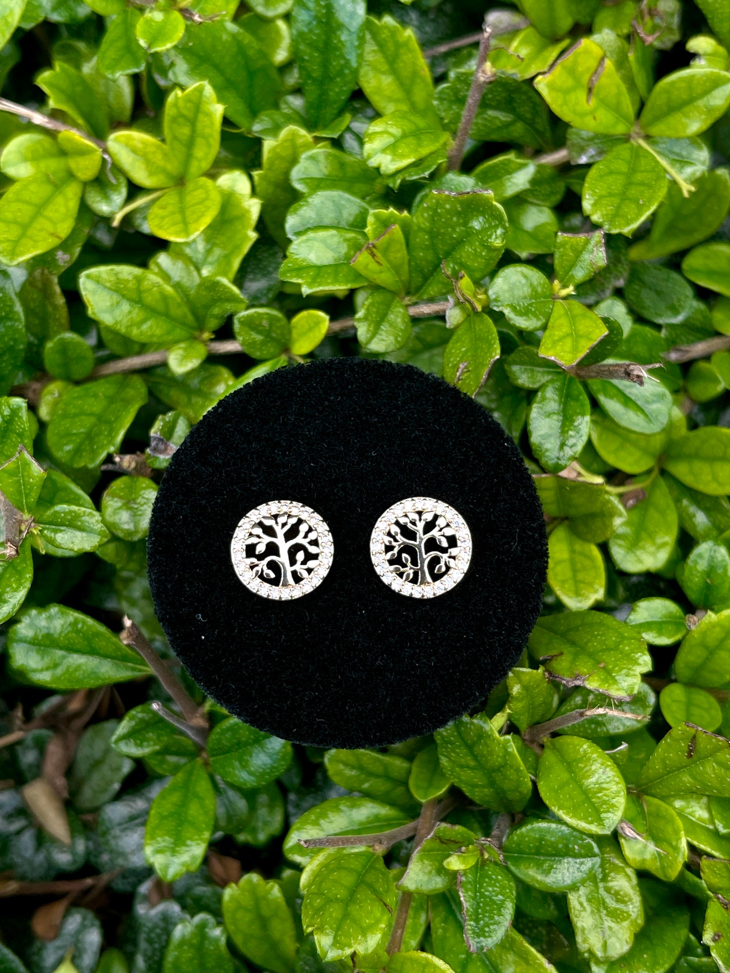 Tree of Life Studs